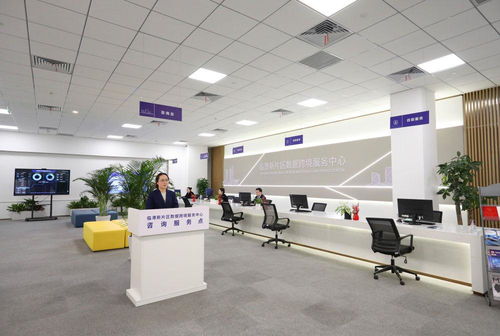 鏡觀回響 從一個區(qū)，看長三角更高水平開放下的貿(mào)易咨詢服務(wù)