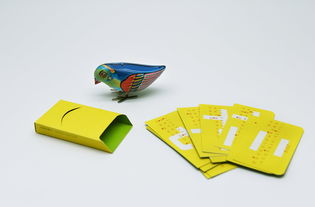 喜鵲35周年 無界設計，翱翔于平面與包裝之間的創新美學